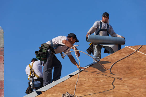 Best Local Roofing Companies  in Williston, ND