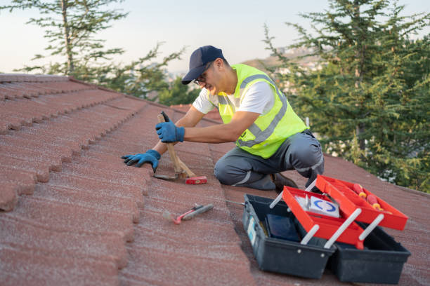Best Roof Repair Services  in Williston, ND