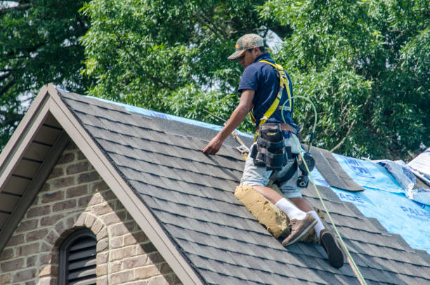 Best Storm Damage Roof Repair  in Williston, ND